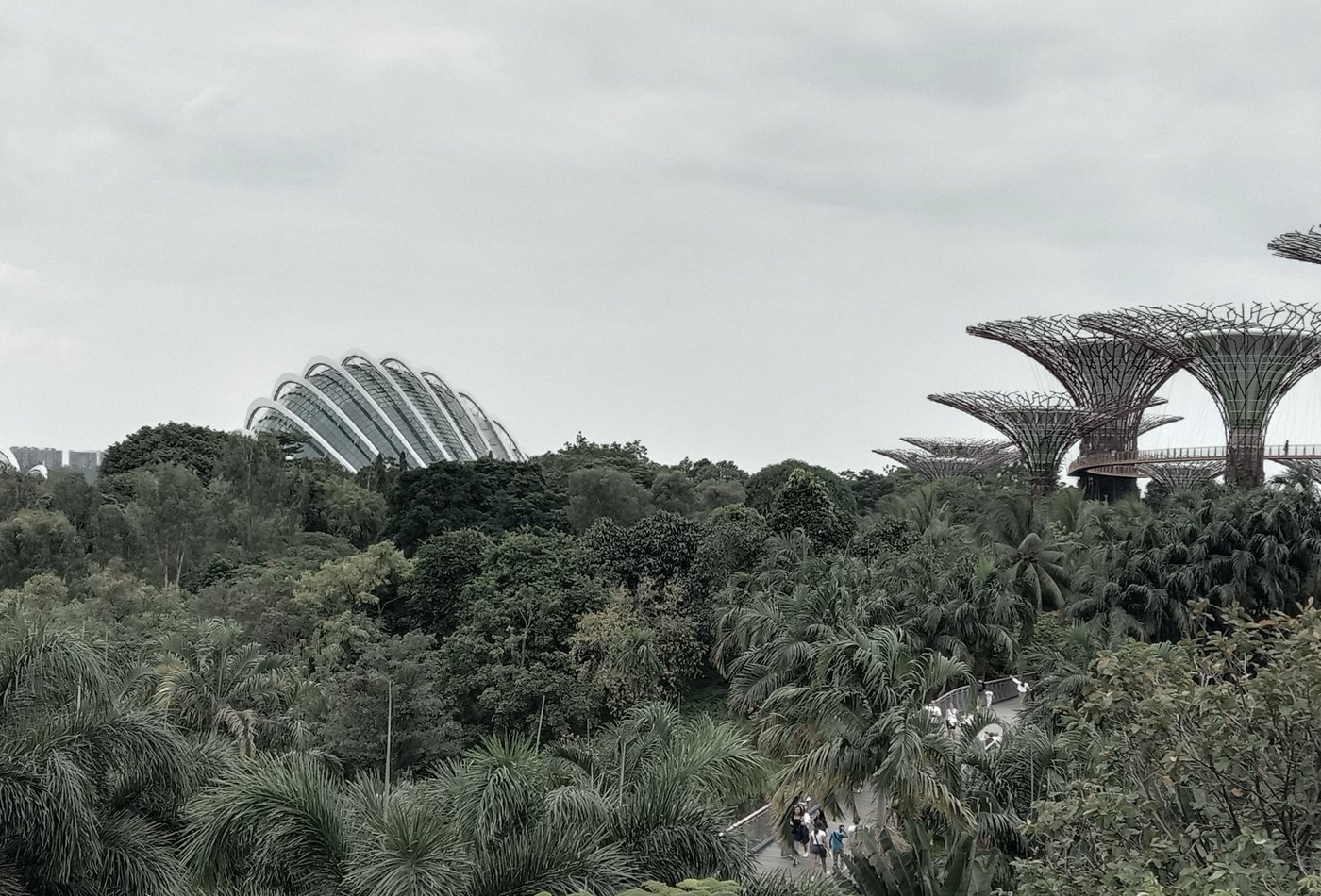 Gardens by the Bay, Singapore
